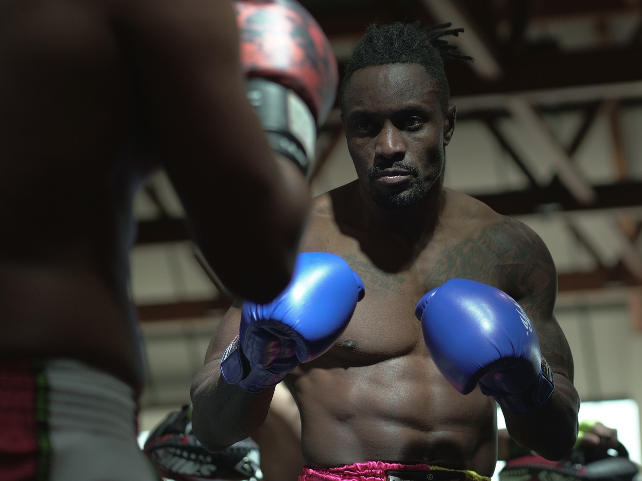 boxing, boxers, boxing ring, sports, contact sport, fighting match, boxing, boxing, boxing ring, boxing ring, boxing ring, boxing ring, boxing ring